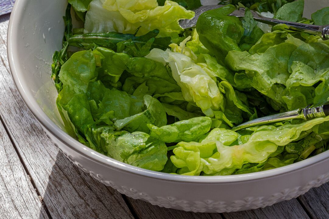 Entsalada freskoa oliba olioz jantzia